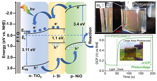 heterojunction photoanode